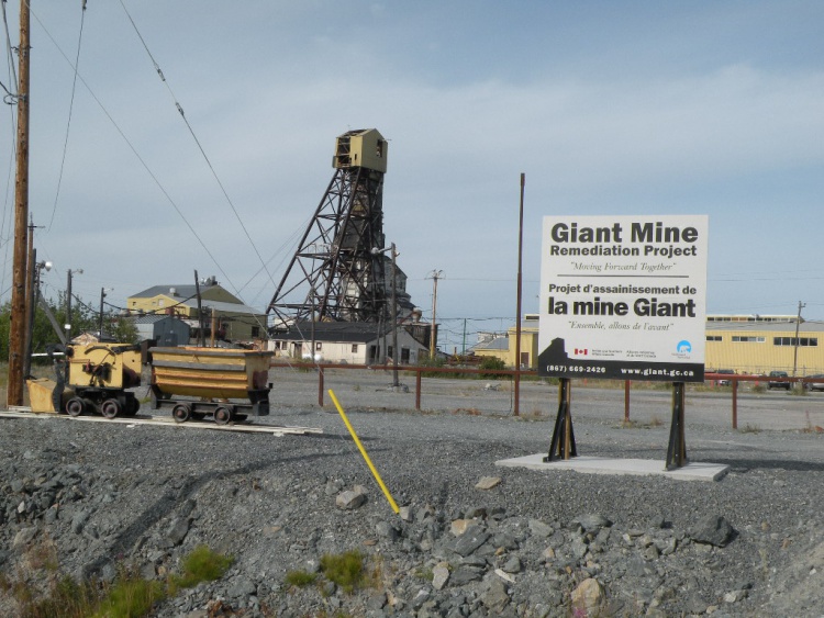 Understanding Mine Remediation